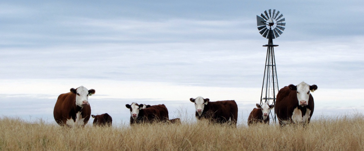 high-plains-journal-bound-media-group